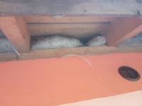 IMG_20221001_160921 (800x600).jpg